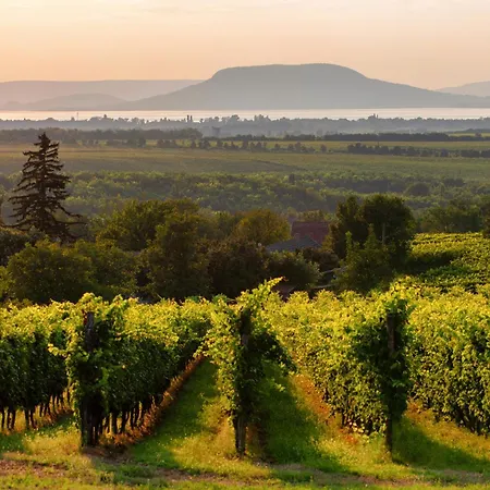 בית נופש In 40846