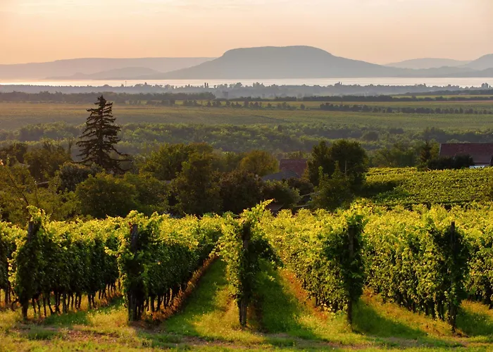 בית נופש In 40846